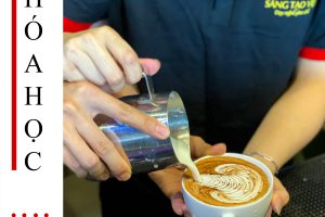 KHÓA HỌC BARISTA – CÀ PHÊ MÁY CHUYÊN NGHIỆP